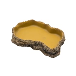 Comedouro Exopets Para Répteis