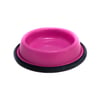 Comedouro Royale Grande Color Para Gatos