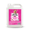 Condicionador Collie Vegan Morango - 250Ml Para Cães - 5 Litros