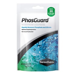 Condicionador De Água Seachem Phos Guard Para Peixes - 1 Unidade - 100 Mililitros