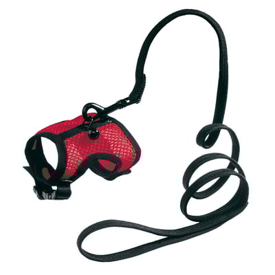 Conjunto De Guia E Peitoral Ferplast Jogging Tamanho P - Cores Sortidas Para Cachorros