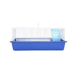 Criadouro Monaco Azul Para Hamster