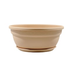 Cuia Vicenza Prato Desli Areia 28Cm - 1 Unidade - 28 Centímetros