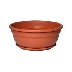 Cuia Vicenza Prato Desli Marrom 28Cm - 1 Unidade - 28 Centímetros