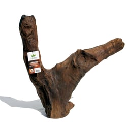Decoração Aquário Mbreda Tronco Natural Para Peixes - Tamanho G