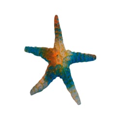 Decoracao Lester Estrela Do Mar Para Aquarios