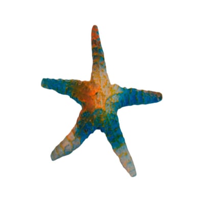 Decoracao Lester Estrela Do Mar Para Aquarios