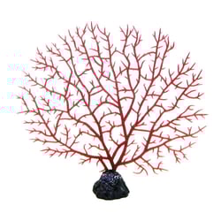 Decoracao Soma Invertebrado Gorgonia