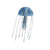 Decoracao Soma Peixes Jelly Big