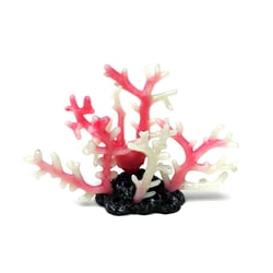 Decoracao Soma Silicone Acropora
