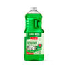 Desinfetante Procão Classic Plus Citronela - 2L