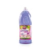 Eliminador De Odores Lavanda 2L