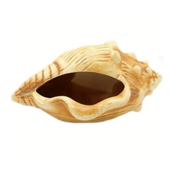Enfeite Caracol Envelhecido Trema Único - 1 Unidade
