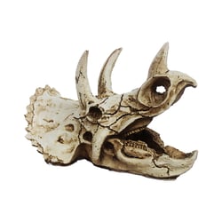 Enfeite Crânio Triceratops Nomoypet - 1 Unidade
