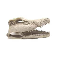 Enfeite De Resina Esqueleto De Crocodilo Soma Pequeno - 1 Unidade