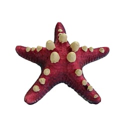 Enfeite De Resina Soma Invertebrado Estrela Spotted Rosa