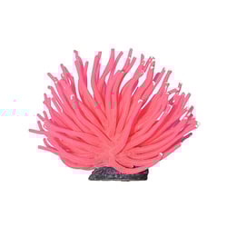 Enfeite De Silicone Anêmona Short Rosa Soma 6Cm - 1 Unidade