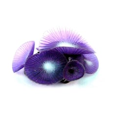 Enfeite De Silicone Roxo Coral Mushroom Giant Soma - 1 Unidade