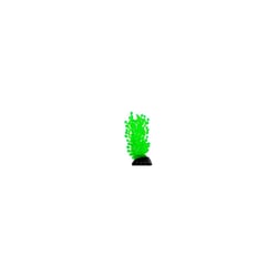 Enfeite De Silicone Soma Alga Ulva Verde