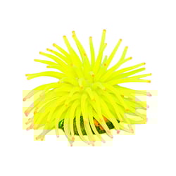 Enfeite De Silicone Soma Anemona Short Amarela