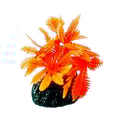 Enfeite De Silicone Soma Coral Xenia Vermelha