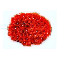 Enfeite De Silicone Soma Coral Zoanthus Colonia Vermelho