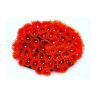 Enfeite De Silicone Soma Coral Zoanthus Colonia Vermelho