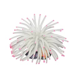 Enfeite De Silicone Soma Para Aquários - Anêmona Short Branco - 6 Unidades