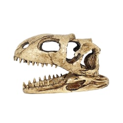 Enfeite Dinossauro Nomoy Pet Para Répteis