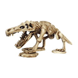 Enfeite Esqueleto De Dinossauro Nomoypet - 1 Unidade