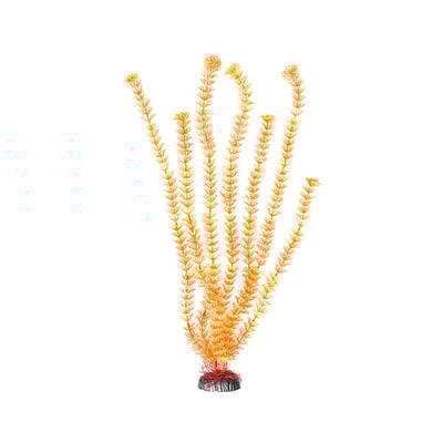 Enfeite Maxxi Planta Ap 20 Com 50Cm Modelos Sortidos