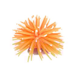 Enfeite Para Aquário Anêmona Maxxi Laranja - 1 Unidade