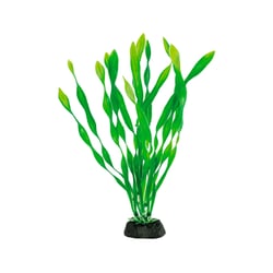 Enfeite Para Aquários Soma Planta Plástica Economy Mod434 - 20 Centímetros
