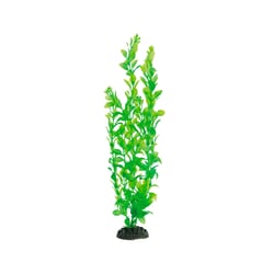 Enfeite Planta Plástica Soma Mod404 Para Aquários - 40 Centímetros