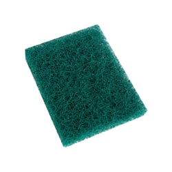Esponja Limpeza Pesada Fipet Para Casa E Jardim