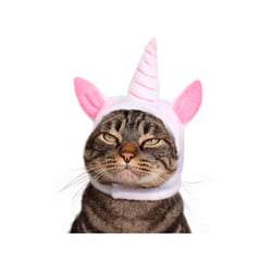 Fantasia De Unicórnio Cansei De Ser Gato Para Pets - 1 Unidade