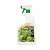 Fertilizante Samambaia Sempre Verde 750Ml - 1 Unidade