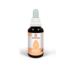 Floral De Bach Medo E Trauma Petherapy 30Ml - 1 Unidade