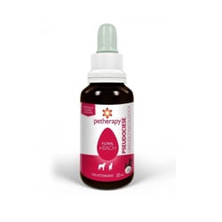 Floral De Bach Petherapy Gravidez Psicológica 30Ml - 1 Unidade
