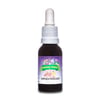 Floral Hiperatividade Animal Flower 30Ml - 1 Unidade