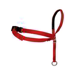 Focinheira Antipuxão Amicus Easy Para Cães - 1 Unidade - Tamanho P