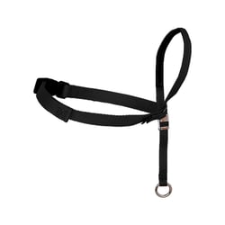 Focinheira Antipuxão Amicus Easy Preta Para Cães - Tamanho P