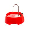 Fonte Bebedouro Aqua Mini Amicus Bivolt Vermelha Para Cães E Gatos - 1 Unidade