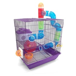 Gaiola Para Hamster American Pets 2 Andares Labirinto - Tamanho 2