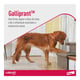Galliprant Anti-Inflamatório Para Cães 100Mg - 7 Comprimidos - 7 Comprimidos