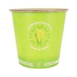 Graminha Para Pets Milho De Pipoca 60G