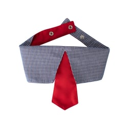 Gravata Modernpet Azul Royal Para Cães - 1 Unidade