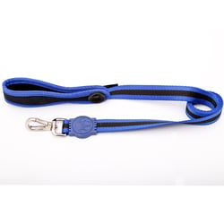 Guia Amf Havaí Azul Para Cachorros - Tamanho 2