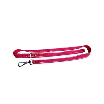 Guia Chata Jireh Dog Para Cães - Cores Sortidas