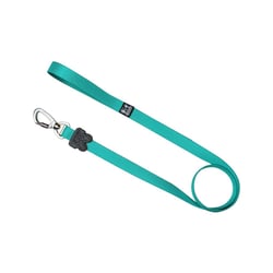 Guia Color Ribbon Boots E Pets Verde Água G - 1 Unidade Para Cachorros E Gatos